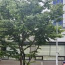 스튜디오윔지 이미지