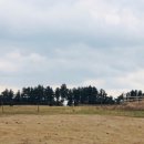 베베앙팡 이미지