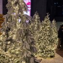 부산시중앙 신용협동조합 사옥(부산시중앙신협) | 🎄크리스마스 빌리지 부산 야간 팁｜웨이팅 없이 입장하는 시간대·주차장 추천