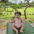 보리수 | [익산] 익산물놀이 &#39;여산보리수카페&#39;익산대형카페