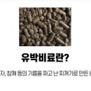 유박