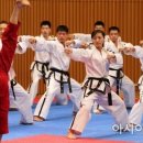 용인대MTA태권도 이미지