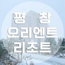 오리엔트리조트주 | 강원도 평창 휘닉스파크 인근 오리엔트리조트 숙박 후기