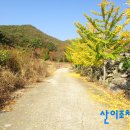 추령주유소 Daum카페