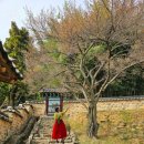 당산쌈지공원 | 밀양향교 홍매화는 졌지만 교동마을 포토존 가득해