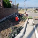 개곡1리 이미지