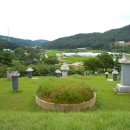 김종순
