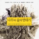 나무와 숲 이미지