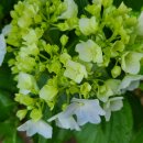 노후설계상담사 1급 과정 이미지