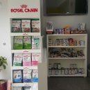 포일동물병원 이미지