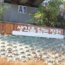 [수성구청] 생각을 담는 정원 이미지