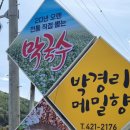 박경리메밀향 이미지