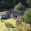 스테이 파란 이미지