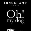 도그스토리 이미지