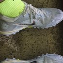 문원체육공원 축구장 이미지