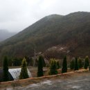 회복 태양광발전소 이미지