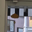 콩이랑 초이랑 | 내돈내산 | 두바이 쫀득쿠키 맛집 | 두바이 소금빵 맛집 | 강릉 카페 초이 웨이팅, 솔직 후기, 주차정보