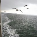 신촌민박 이미지