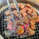 황소야돼지야
