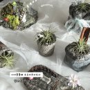 업사이클링 지도사 | 발포세라믹 자격증 업사이클링 도우아트 지도사