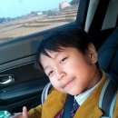 안중파랑새유치원 이미지