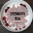 세현푸드