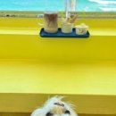 컴페니언바이주문진 이미지