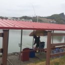 붕어의 신 이미지