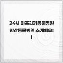 아프리카동물병원 | 24시 아프리카동물병원 안산동물병원 소개해요!!