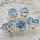 바이더부산씨