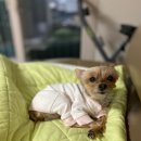 나인동물의료센터 이미지