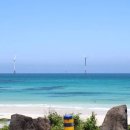 월정리에 이미지