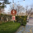 신내 세탁소 | 소노휴양평 셀프바베큐 후기 - 고기도 먹고 벚꽃도 보고, 불멍잇조이 비교, 준비물, 예약 방법, 장볼만한곳