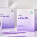 리뷰노트