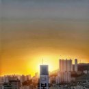 보성탕 - 부산진구 동평로127번길 16 | 보성탕
