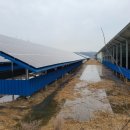 (주)세건 네이버블로그