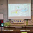 💌울산유치원 교통안전교육🚦✨ 이미지