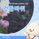 건들바위네거리 조형 | 대구 중구 골목투어 과거와 현대가 공존하는 쉼표 건들바위