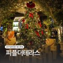 로데오1103 더테라스 | 압구정로데오맛집 피플더테라스 재방문 후기