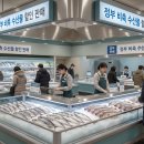 시장유통 티스토리