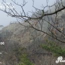 흑룡산(도덕봉) Daum카페