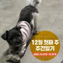 주-001-군청앞4(회) | 2025년 12월 첫째 주 주간일기