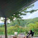 영남5길L | 첫 캠핑, 밀양 가족캠핑 여행