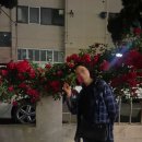 장미노래연습장 이미지