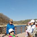 4.11-12.봉화 청량산 홍기대대장 이미지