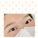 프리미업 | 광명사거리 속눈썹펌 프리미업샵 앨리나뷰티