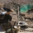 백운산 솔밭 앞 이미지