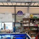 성훈 | 서천특화시장 맛집 성훈수산 7번상가 찰광어 간재미회 매운탕 후기