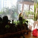 처음농장 이미지