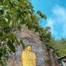 고성 장좌리 캠핑장 이미지